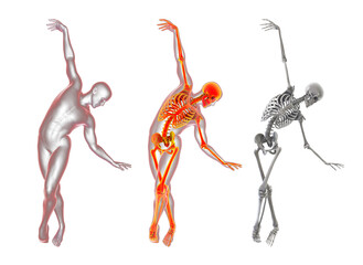 Anatomy of dancing and ballet, 3D illustration