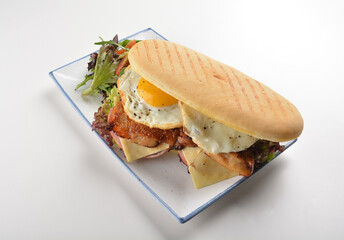 assorted sandwiches club with focaccia bread, grilled teriyaki chicken , cheese and fried egg with salad in white background western halal menu