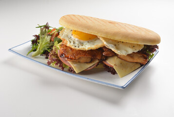 assorted sandwiches club with focaccia bread, grilled teriyaki chicken , cheese and fried egg with salad in white background western halal menu
