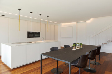 Interior of a modern apartment, kitchen and dining room stand together. High standing, nobody inside.