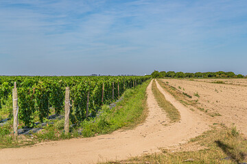 Obraz premium Harvest in Miami, Florida