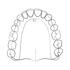 Jaw with teeth one line drawing on white isolated background 