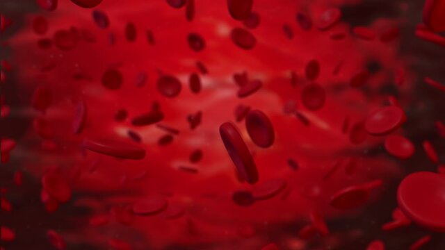 Realistic animation. red blood cells in an artery, flow inside body, medical human health-care.Red blood cells. Blood elements.3d rendering red blood cells.