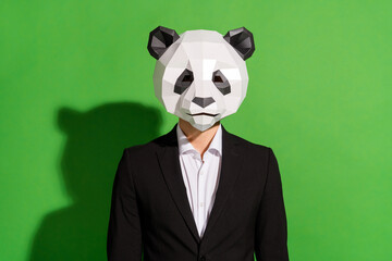 Photo of successful manager posing look camera wear panda head black suit white shirt isolated on...