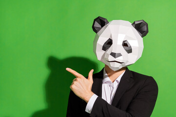 Photo of adviser business guy direct finger empty space wear panda head black suit isolated on...