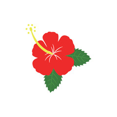 ハイビスカスのイラスト