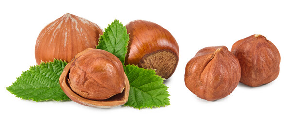 hazelnuts with green leaf isolated on white background macro. clipping path