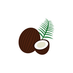 ココナッツのイラスト