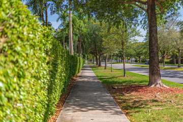 Fototapeta premium Morning walks in Miami, Florida