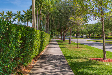 Morning walks in Miami, Florida