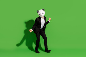 Photo of carefree joyful man corporate event dance wear panda mask black tux shoes isolated on...