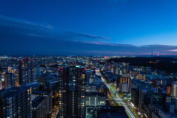 Fototapeta na wymiar 仙台市を見下ろす夜景