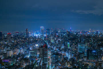 青白い光を放つ東京の夜景