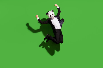 Full length body size view of classy man wearing panda mask jumping rejoicing dancing isolated over...