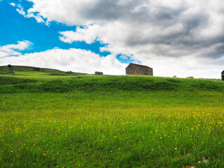 Fototapeta na wymiar Buttercups in a meadow with barns and dry stone walls and cloudy skies. A Summers day. Yockenthwaite. Yorkshire Dales National Park.