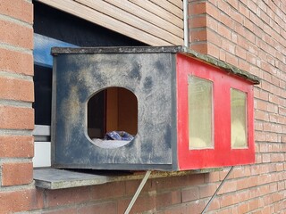 wetterfestes Katzenhaus