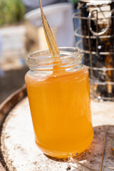Jar of bee honey