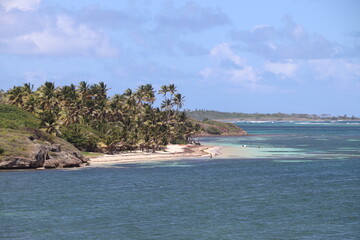 Plage Paradisiaque Ilet Chevalier Martinique Antilles Françaises