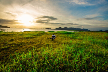 Fototapeta premium The background of Lanscape (fields, mountains, fog, trees) with intimate view. And fresh in the sight of the journey, light wallpaper of the sun in the morning.