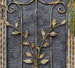 Metal fence, golden leaves.