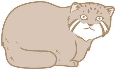 猫科動物　マヌルネコ　イラスト