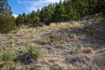 Wyoming  landscape in Spring. Interstate 80 highway at Windows on the Past Archaeology Site.