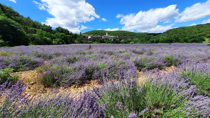 Fotobehang Lavendel : Le village médiéval de Montclus dans le département du Gard en France  © Monique Pouzet