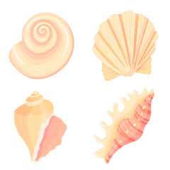 Set of conch flat cartoon vector Illustration. Colorful tropical beach shell underwater icon. Aquatic nature. Sticker collection.