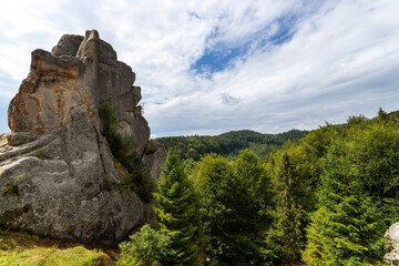 Fototapeta na wymiar Beautiful rock above the coniferous forest. Cloudy sky. Tustan. Ukraine. Mountains. Nature.