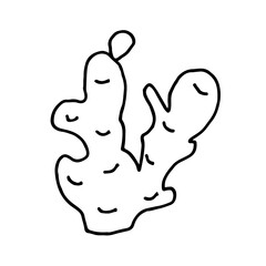 Vegetable doodle ginger. Fresh, healthy, vegan food. Hand drawn illustration. 