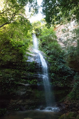 waterfall in the forest