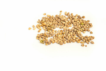 Cannabis seeds isolated on white background. Space for text