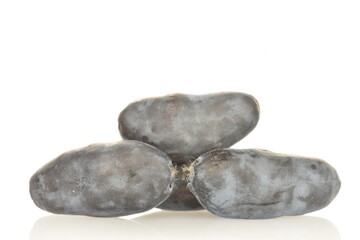 Several dark blue organic ripe honeysuckle berries, close-up, isolated on white.