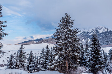 Winter landscape with snow covered mountains and trees 
