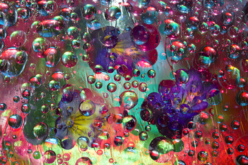 Transparent raindrops falling down against the turquoise-red background with silhouettes of yellow-blue  flowers. Abstract fantasy.