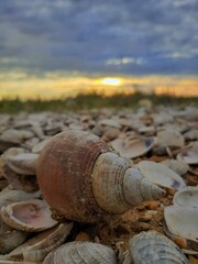 old rusty barrel