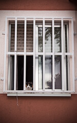 Fototapeta premium An urban photo, window on the façade of building