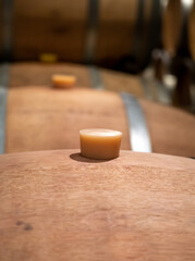 Keeping for years of dry red wine in new oak barrels in caves in Burgundy, made from pinot noir grape