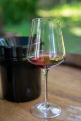 Tasting of dry burgundy red wine made from pinot noir  grapes, wine tourisme to Burgundy Cote de Nuits wine region, France