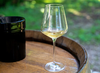 Tasting of dry burgundy white wine made from chardonnay grapes, wine tourisme to Burgundy Cote de...