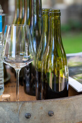 Tasting of dry burgundy white wine made from chardonnay grapes, wine tourisme to Burgundy Cote de Beaune wine region, France