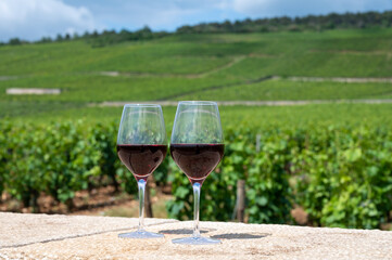 Tasting of burgundy red wine from grand cru pinot noir  vineyards, two glasses of wine and view on green vineyards in Burgundy Cote de Nuits wine region, France