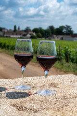 Tasting of burgundy red wine from grand cru pinot noir  vineyards, two glasses of wine and view on green vineyards in Burgundy Cote de Nuits wine region, France