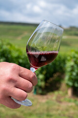 Tasting of burgundy red wine from grand cru pinot noir  vineyards, hand with glass of wine and view on green vineyards in Burgundy Cote de Nuits wine region, France