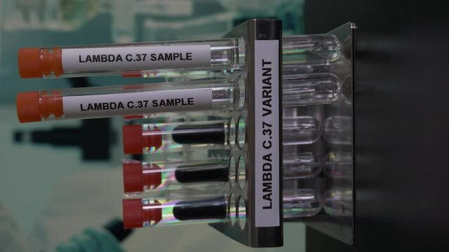 Lambda C37 Variant Test Tube Samples Being Removed From Rack. Vertical Video, Locked Off