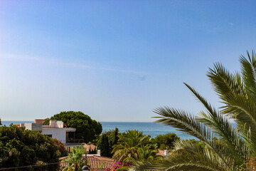 In the photograph you can see trees and palm trees, a white house and the sea under a clear sky without clouds