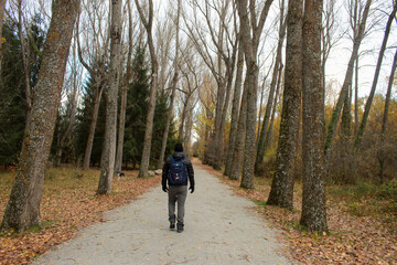 a man walks through nature, surrounded by trees and leaves. he carries a backpack