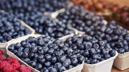 Small paper boxes with blueberries displayed on food market, closeup detail