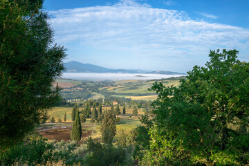 Fototapeta na wymiar Landschaft in der Toskana/ Italien mit Nebel in den Morgenstunden. Im Vordergrund Büsche und Bäume