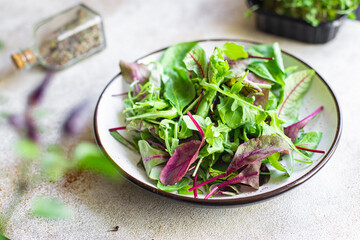fresh green salad leaves in a plate on the table healthy meal copy space food background rustic. top view keto or paleo diet veggie vegan or vegetarian food